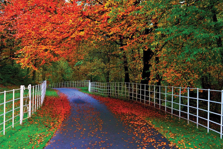 Most Beautiful Pictures Of Nature World Most Beautiful Nature
