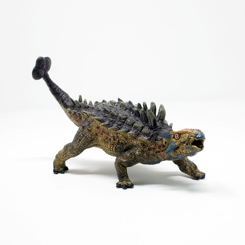 Amazon.com : Discontinued - Dino-Lite Wireless + USB Digital