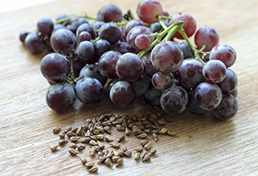 Grape Seed